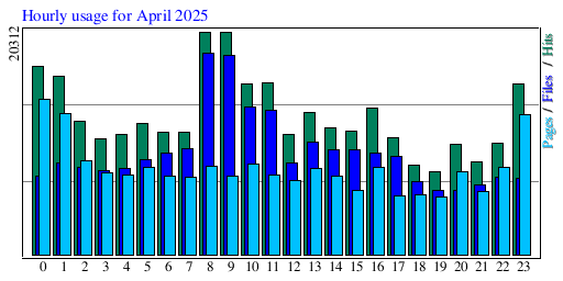 Hourly usage for April 2025